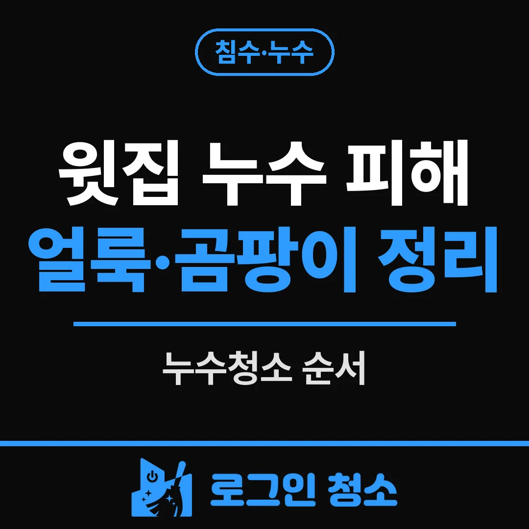 누수청소, 윗집 누수로 생긴 얼룩과 곰팡이 정리 순서