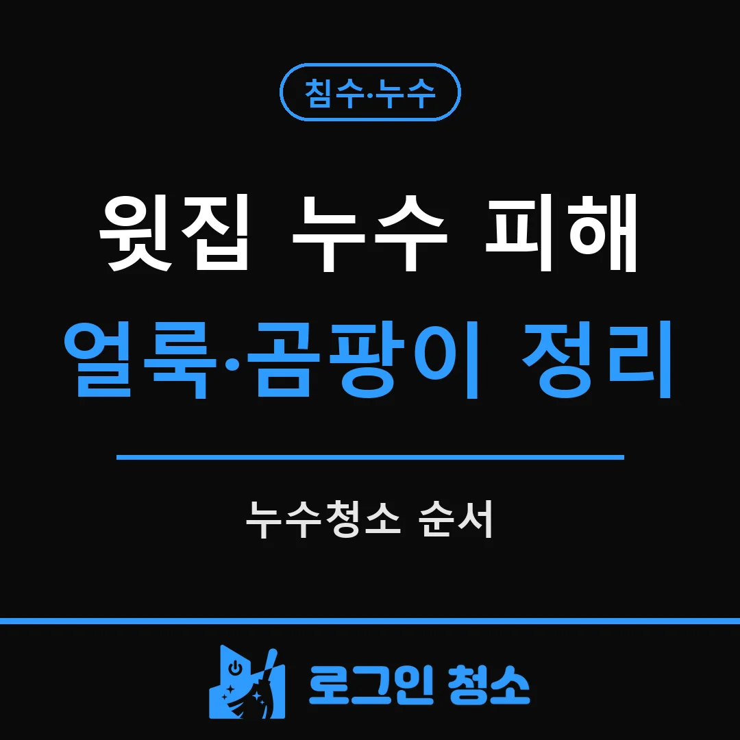 누수청소, 윗집 누수로 생긴 얼룩과 곰팡이 정리 순서