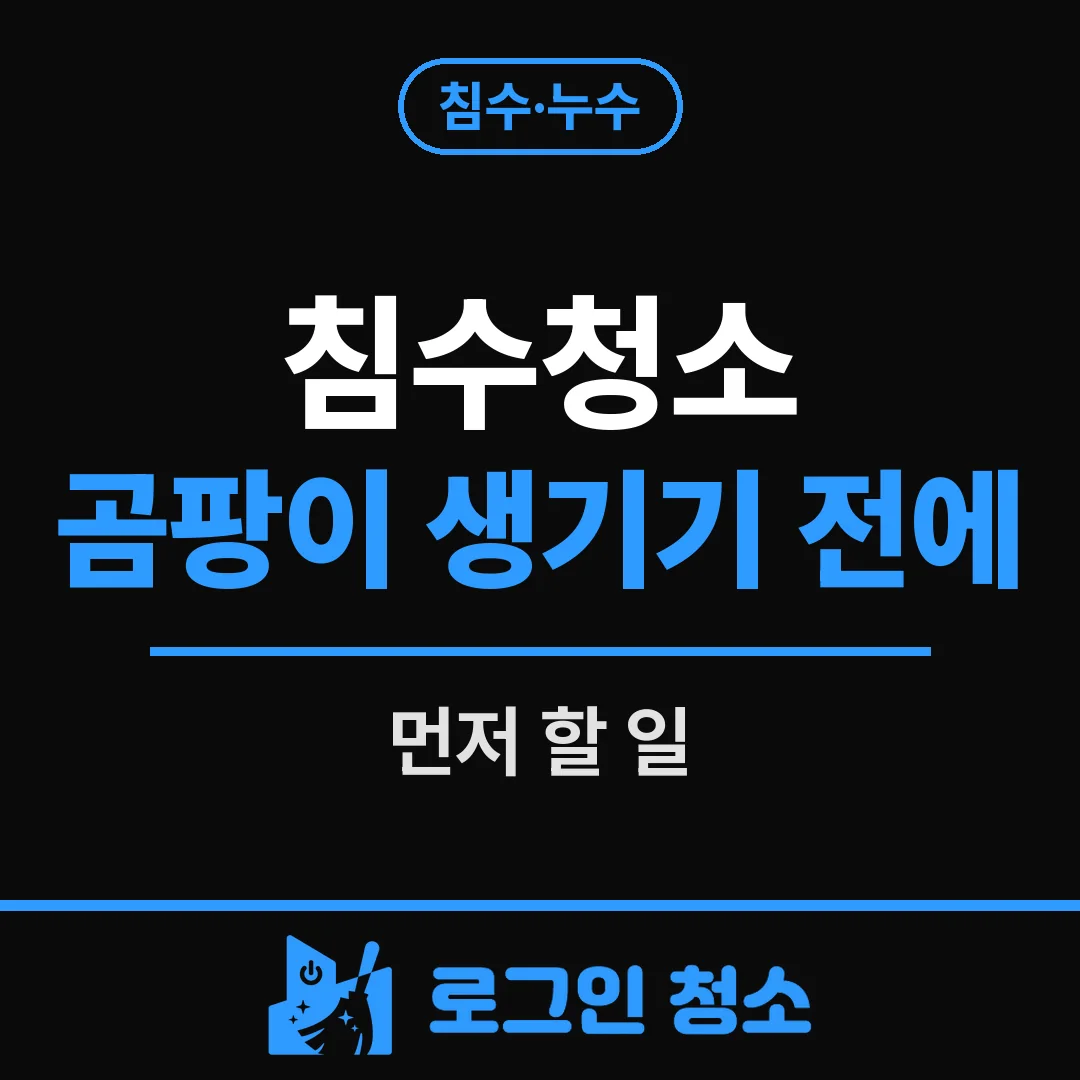 침수청소, 곰팡이가 생기기 전에 해야 할 것