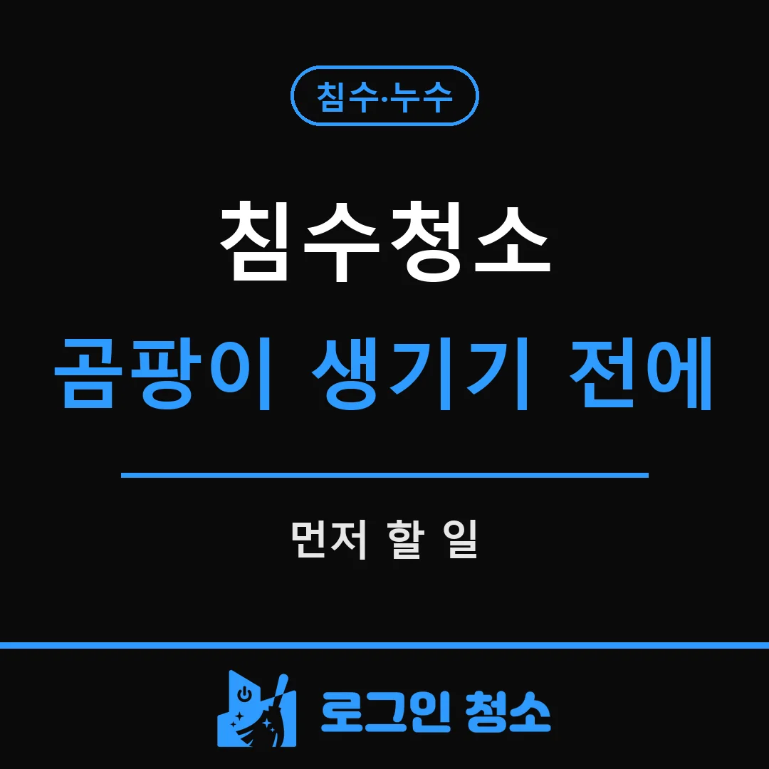 침수청소, 곰팡이가 생기기 전에 해야 할 것